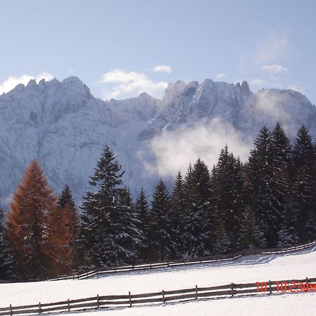 Ferienwohnung Suntinger Iselsberg ภายนอก รูปภาพ