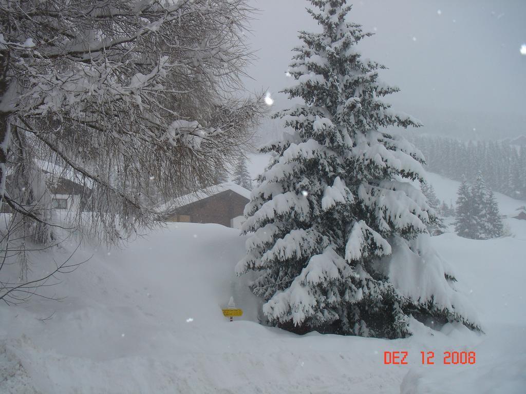 Ferienwohnung Suntinger Iselsberg ภายนอก รูปภาพ